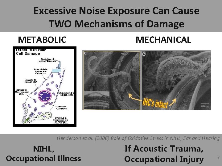 Excessive Noise Exposure Can Cause TWO Mechanisms of Damage METABOLIC MECHANICAL Henderson et al.
