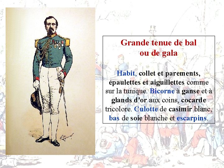 Grande tenue de bal ou de gala Habit, collet et parements, épaulettes et aiguillettes