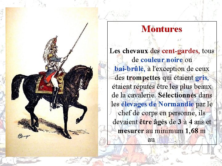 Montures Les chevaux des cent-gardes, tous de couleur noire ou bai-brûlé, à l'exception de