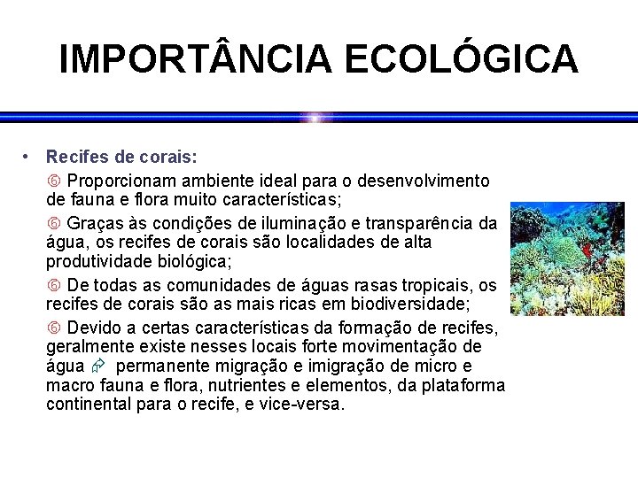 IMPORT NCIA ECOLÓGICA • Recifes de corais: Proporcionam ambiente ideal para o desenvolvimento de