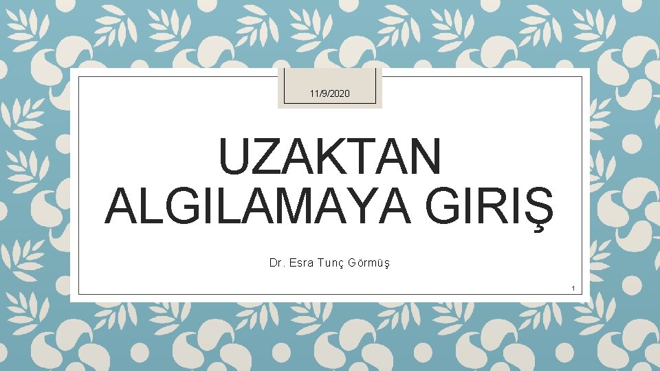 11/9/2020 UZAKTAN ALGILAMAYA GIRIŞ Dr. Esra Tunç Görmüş 1 