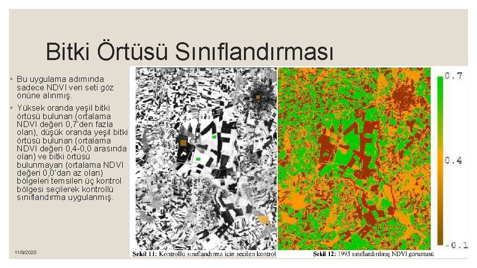 Bitki Örtüsü Sınıflandırması ◦ Bu uygulama adımında sadece NDVI veri seti göz önüne alınmış.