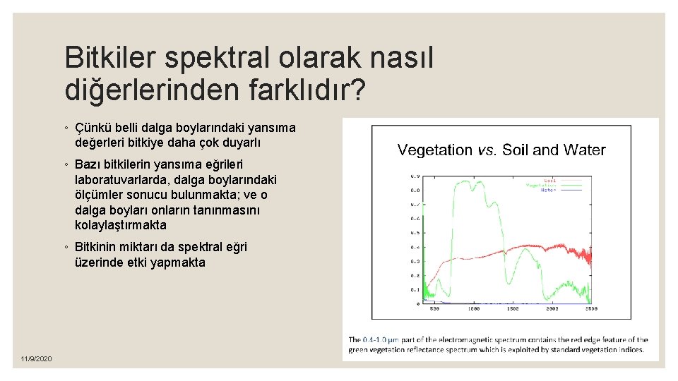 Bitkiler spektral olarak nasıl diğerlerinden farklıdır? ◦ Çünkü belli dalga boylarındaki yansıma değerleri bitkiye