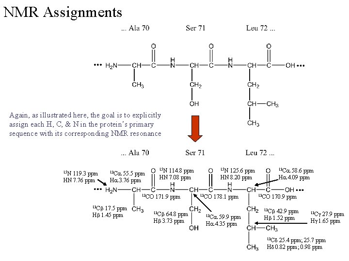 NMR Assignments Again, as illustrated here, the goal is to explicitly assign each H,