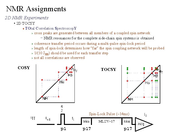NMR Assignments 2 D NMR Experiments • 2 D TOCSY TOtal Correlation Spectroscop. Y