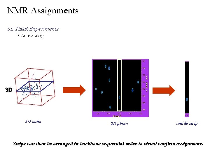 NMR Assignments 3 D NMR Experiments • Amide Strip 3 D cube 2 D