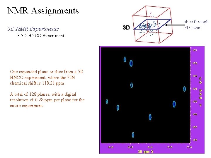 NMR Assignments 3 D NMR Experiments • 3 D HNCO Experiment One expanded plane