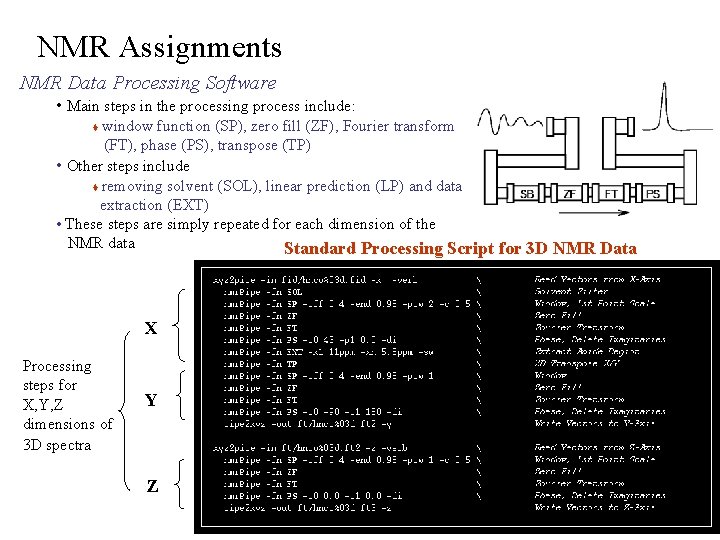 NMR Assignments NMR Data Processing Software • Main steps in the processing process include: