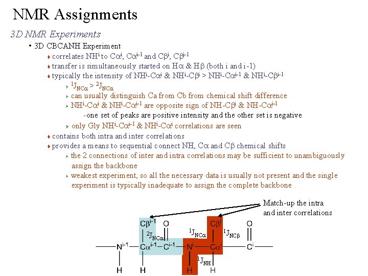 NMR Assignments 3 D NMR Experiments • 3 D CBCANH Experiment correlates NHi to