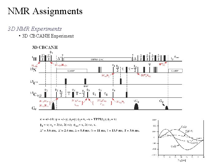 NMR Assignments 3 D NMR Experiments • 3 D CBCANH Experiment 