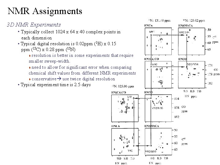 NMR Assignments 3 D NMR Experiments • Typically collect 1024 x 64 x 40