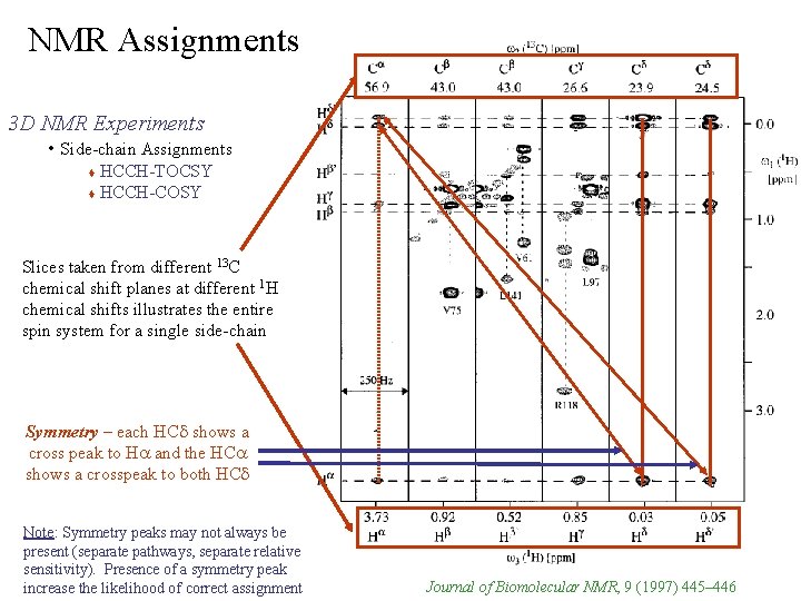 NMR Assignments 3 D NMR Experiments • Side-chain Assignments HCCH-TOCSY HCCH-COSY Slices taken from