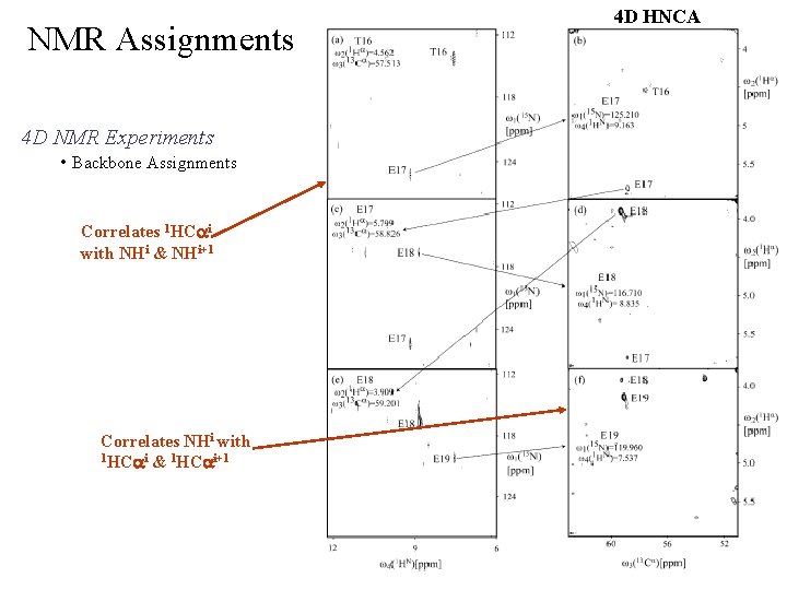 NMR Assignments 4 D NMR Experiments • Backbone Assignments Correlates 1 HCai with NHi