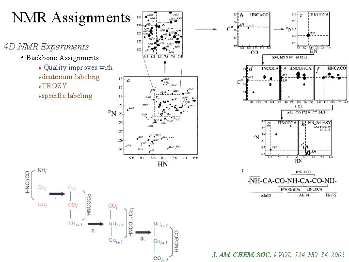 NMR Assignments 4 D NMR Experiments • Backbone Assignments Quality improves with Ødeuterium labeling