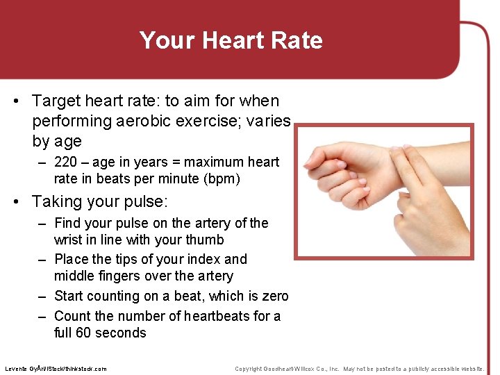 Your Heart Rate • Target heart rate: to aim for when performing aerobic exercise; Your Heart Rate • Target heart rate: to aim for when performing aerobic exercise;