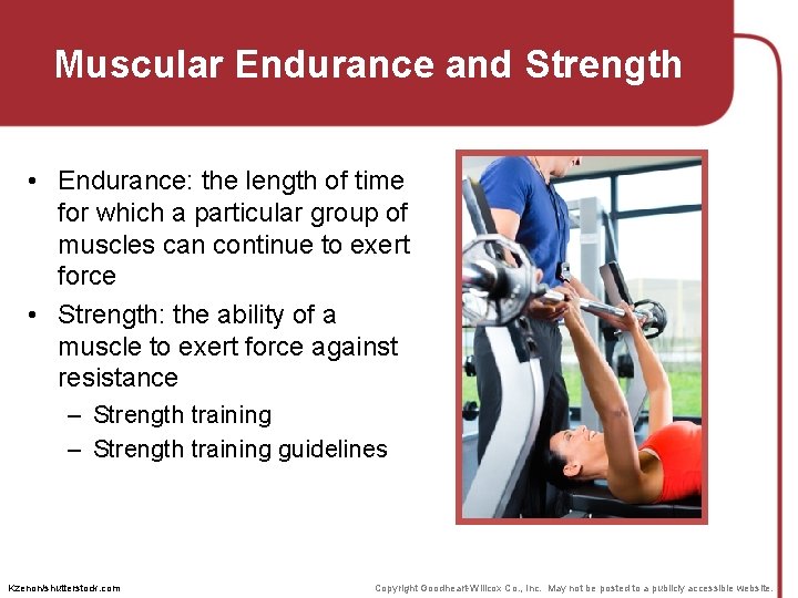 Muscular Endurance and Strength • Endurance: the length of time for which a particular Muscular Endurance and Strength • Endurance: the length of time for which a particular