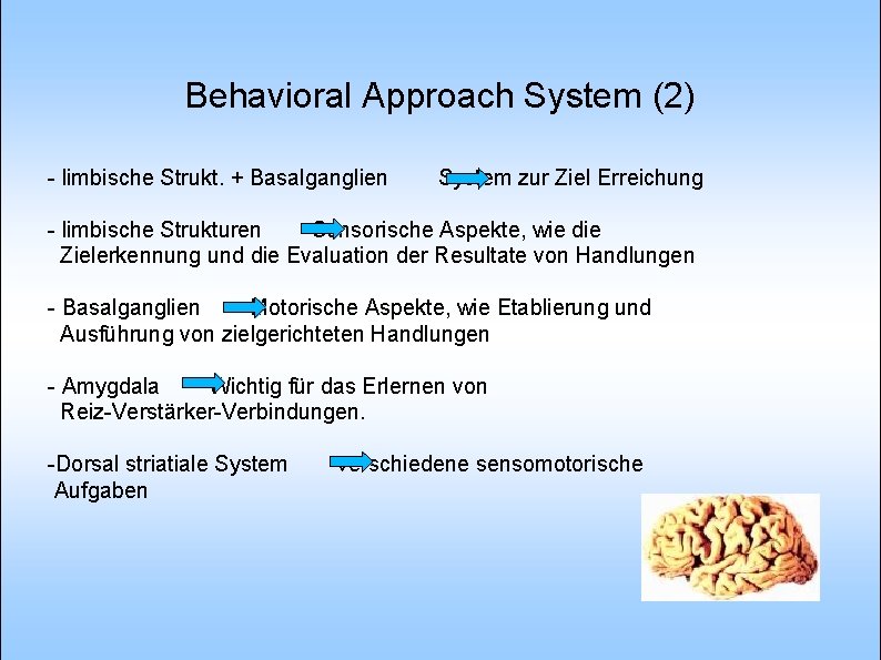 Behavioral Approach System (2) - limbische Strukt. + Basalganglien System zur Ziel Erreichung -