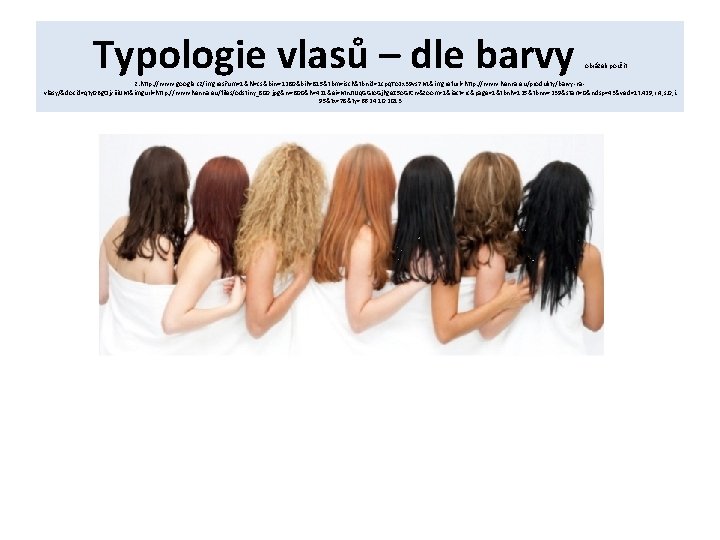 Typologie vlasů – dle barvy obrázek použit z: http: //www. google. cz/imgres? um=1&hl=cs&biw=1280&bih=815&tbm=isch&tbnid=1 cpq.