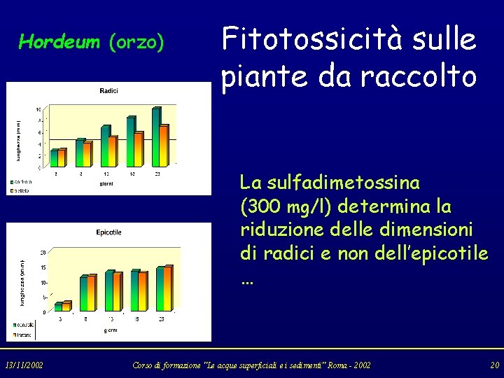 Hordeum (orzo) Fitotossicità sulle piante da raccolto La sulfadimetossina (300 mg/l) determina la riduzione