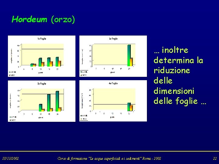 Hordeum (orzo) … inoltre determina la riduzione delle dimensioni delle foglie … 13/11/2002 Corso