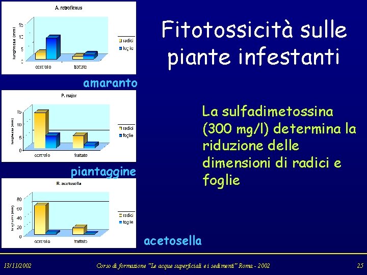 Fitotossicità sulle piante infestanti amaranto La sulfadimetossina (300 mg/l) determina la riduzione delle dimensioni