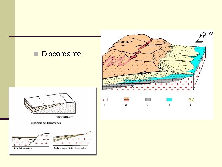  n Discordante. 