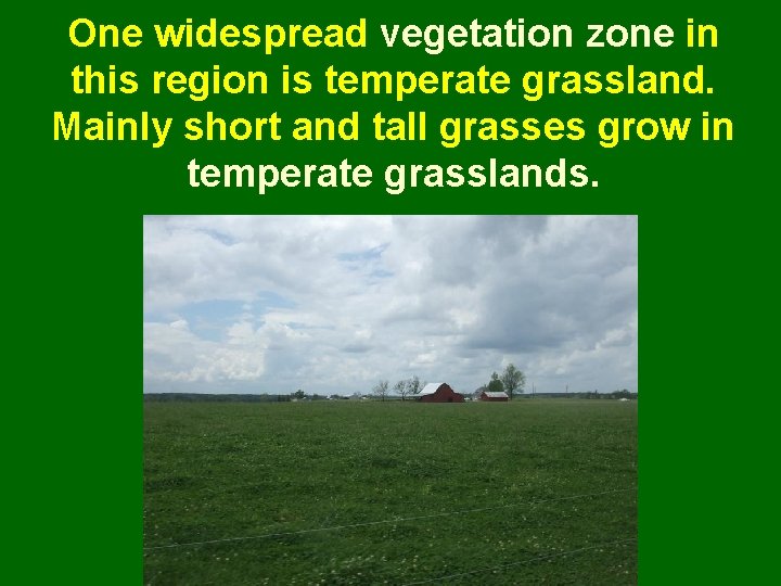 One widespread vegetation zone in this region is temperate grassland. Mainly short and tall