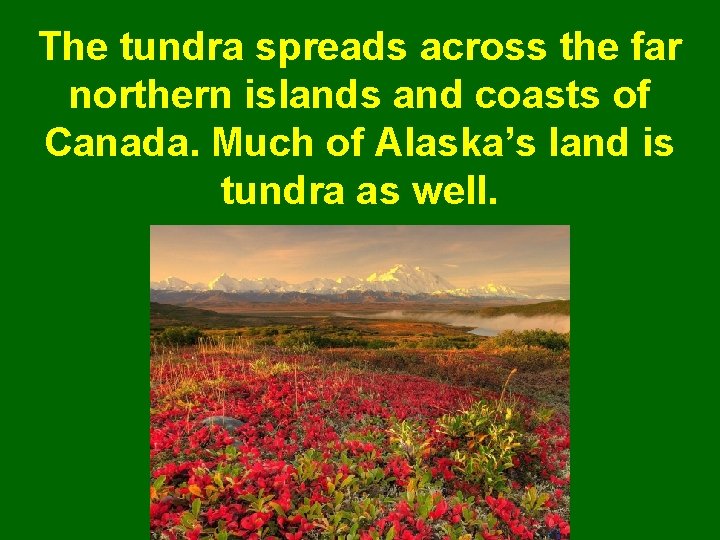 The tundra spreads across the far northern islands and coasts of Canada. Much of