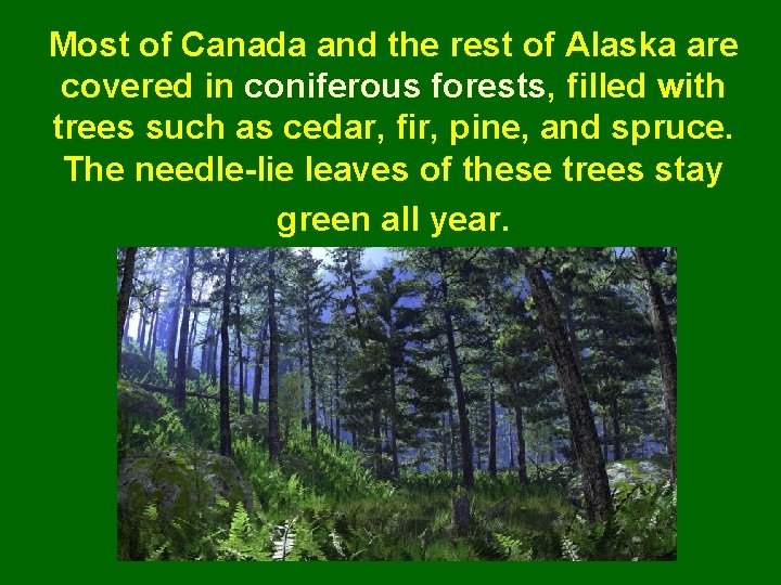 Most of Canada and the rest of Alaska are covered in coniferous forests, filled