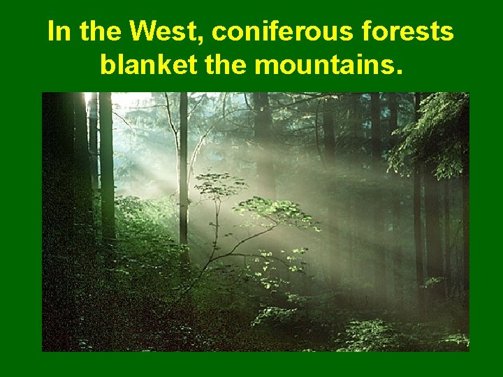 In the West, coniferous forests blanket the mountains. 