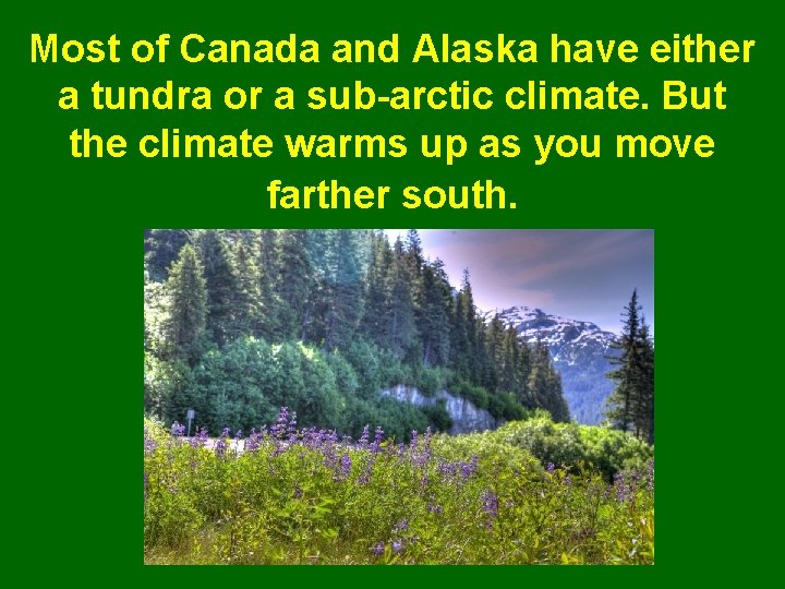 Most of Canada and Alaska have either a tundra or a sub-arctic climate. But