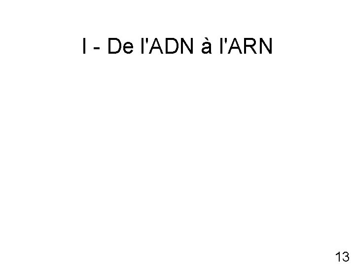 I - De l'ADN à l'ARN 13 