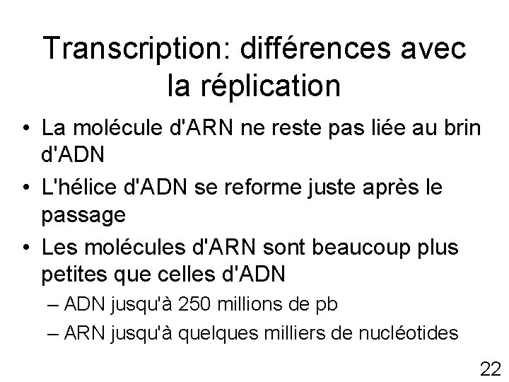 Transcription: différences avec la réplication • La molécule d'ARN ne reste pas liée au