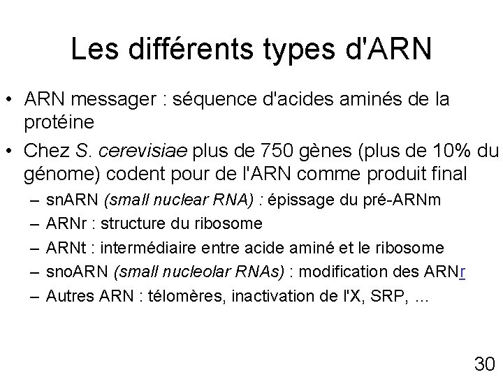 Les différents types d'ARN • ARN messager : séquence d'acides aminés de la protéine