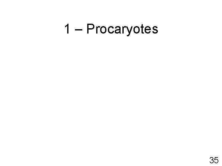 1 – Procaryotes 35 