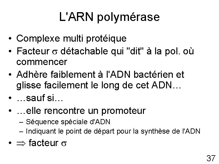 L'ARN polymérase • Complexe multi protéique • Facteur détachable qui "dit" à la pol.