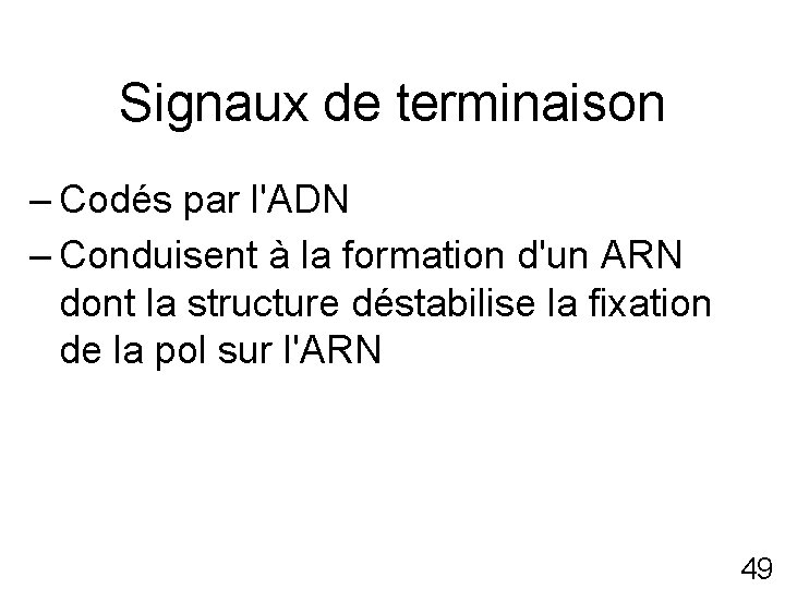 Signaux de terminaison – Codés par l'ADN – Conduisent à la formation d'un ARN