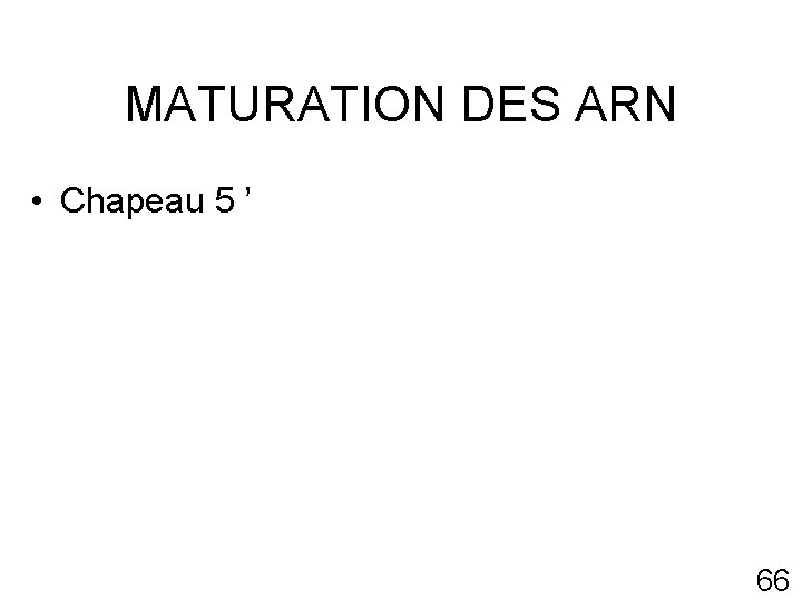 MATURATION DES ARN • Chapeau 5 ’ 66 