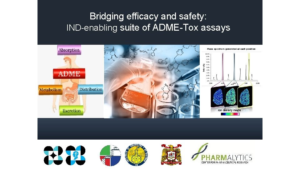 Bridging efficacy and safety: IND-enabling suite of ADME-Tox assays Bridging efficacy and safety: IND-enabling suite of ADME-Tox assays