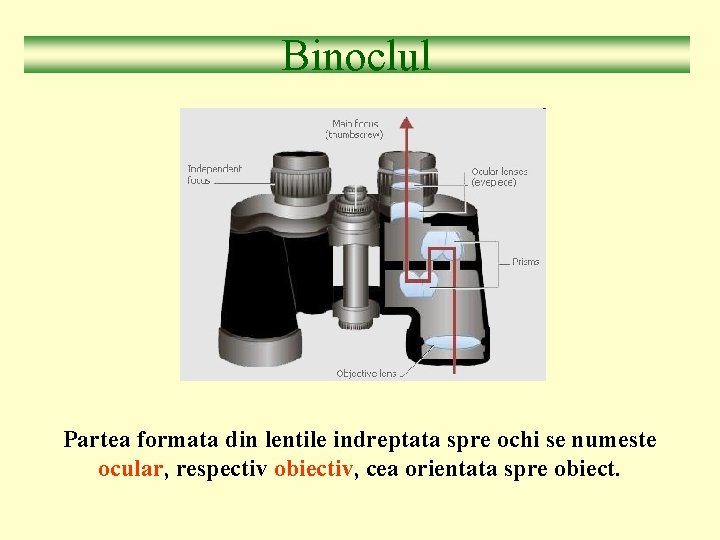 Binoclul Partea formata din lentile indreptata spre ochi se numeste ocular, respectiv obiectiv, cea