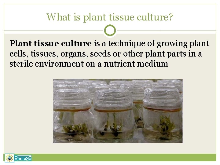 What is plant tissue culture? Plant tissue culture is a technique of growing plant