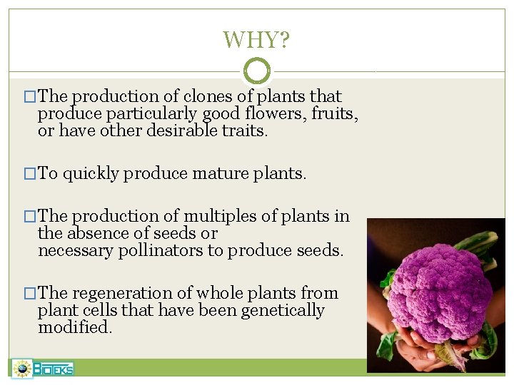 WHY? �The production of clones of plants that produce particularly good flowers, fruits, or