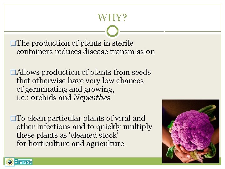 WHY? �The production of plants in sterile containers reduces disease transmission �Allows production of