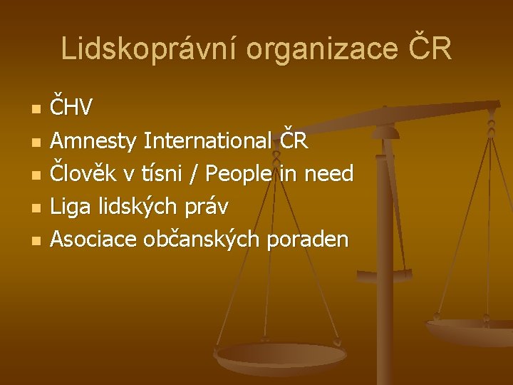 Lidskoprávní organizace ČR n n n ČHV Amnesty International ČR Člověk v tísni /