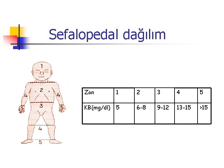 Sefalopedal dağılım Zon 1 2 3 4 5 KB(mg/dl) 5 6 -8 9 -12