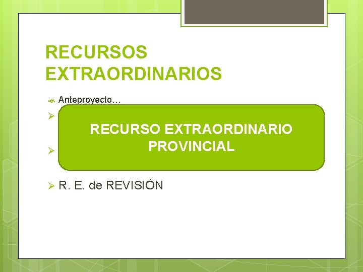 RECURSOS EXTRAORDINARIOS Anteproyecto… Ø R. E. de INCONSTITUCIONALIDAD Ø R. E. de REVISIÓN RECURSO