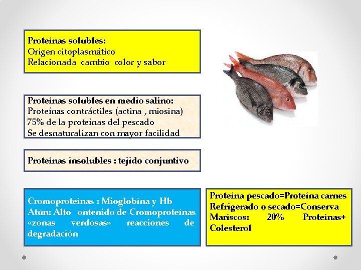 Proteínas solubles: Origen citoplasmático Relacionada cambio color y sabor Proteínas solubles en medio salino: