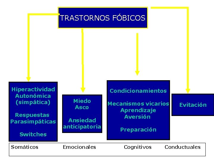 TRASTORNOS FÓBICOS Hiperactividad Autonómica (simpática) Respuestas Parasimpáticas Condicionamientos Miedo Asco Ansiedad anticipatoria Switches Somáticos