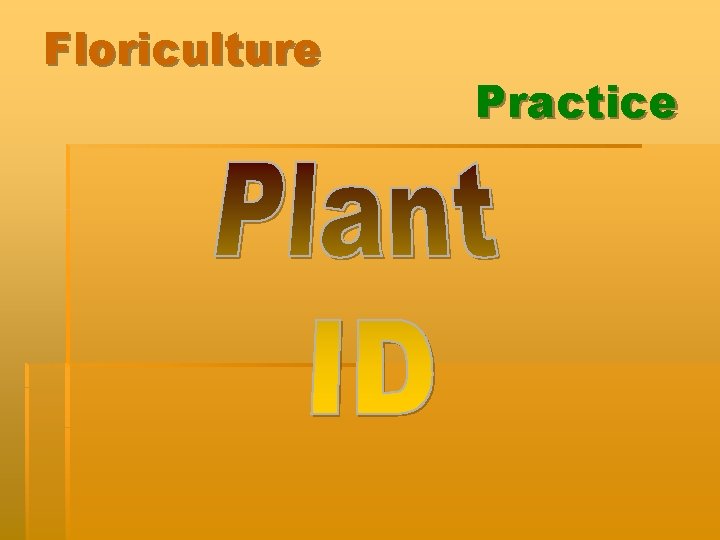 Floriculture Practice 