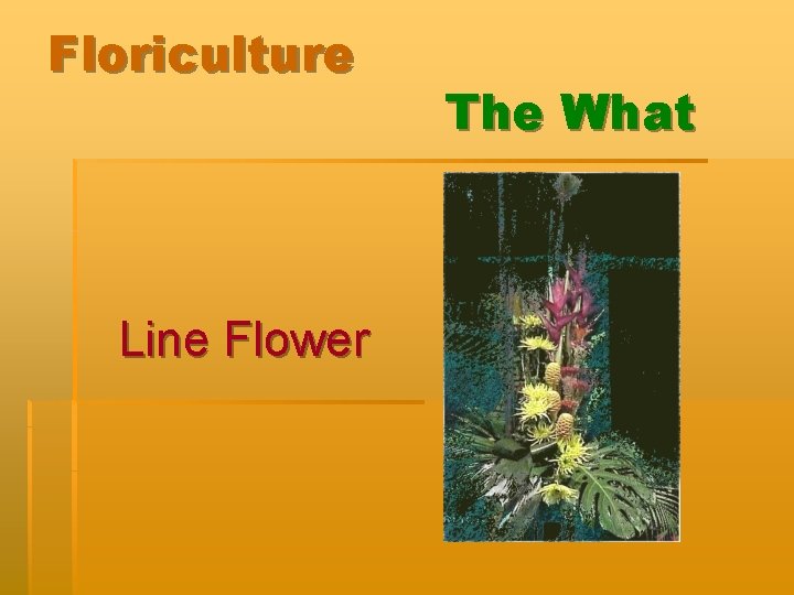 Floriculture Line Flower The What 